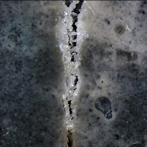 200114_béton_vivant