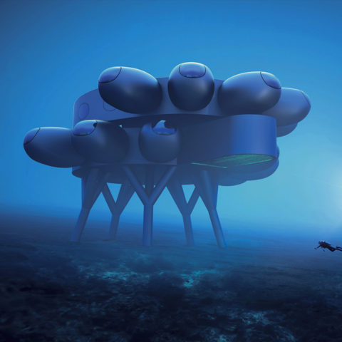 201208_proteus