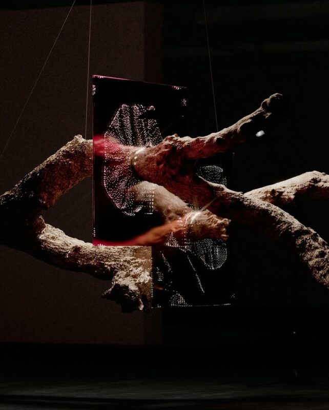 Prémices - Dan Hoopert scanne du bois