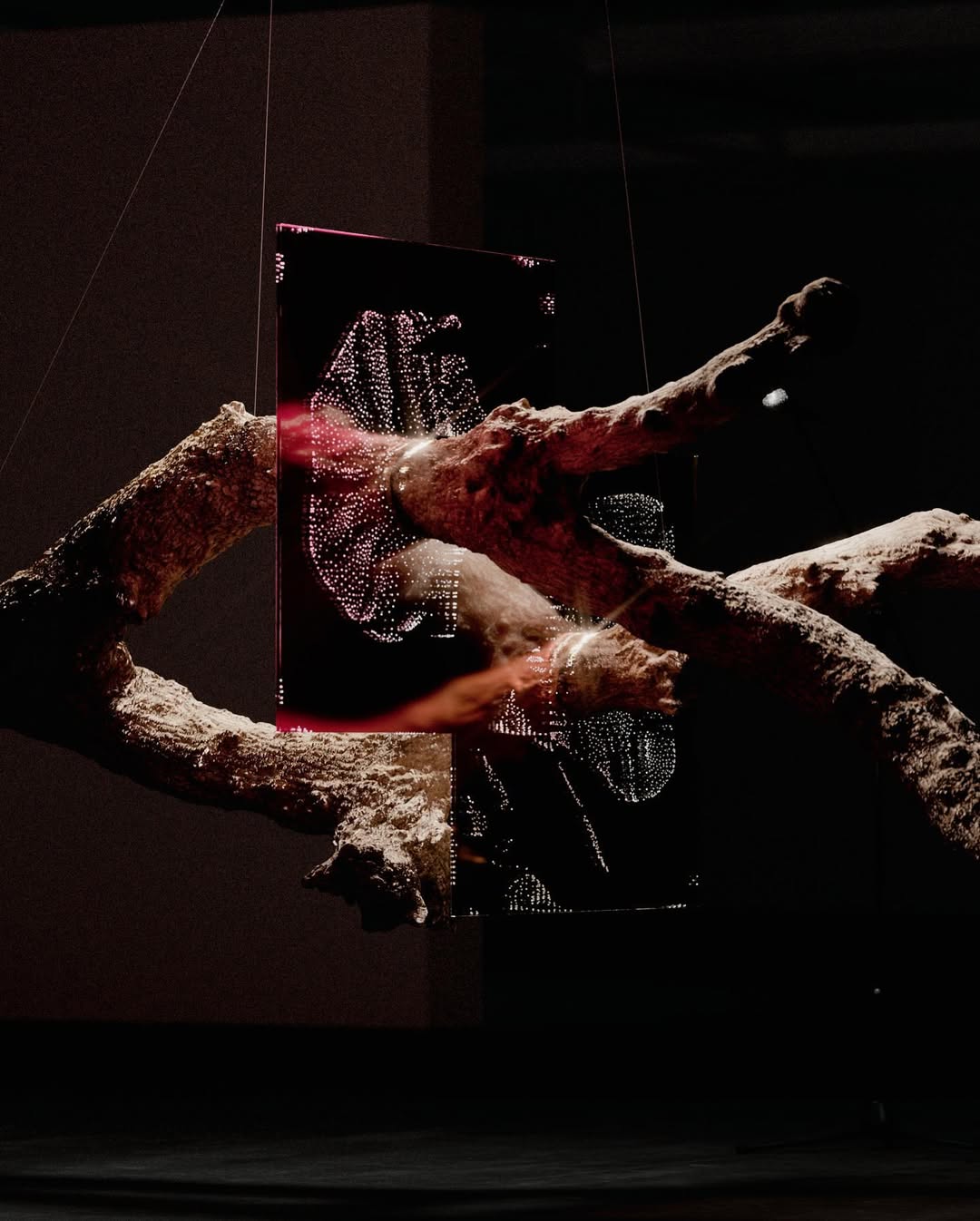 Article - Dan Hoopert scanne du bois