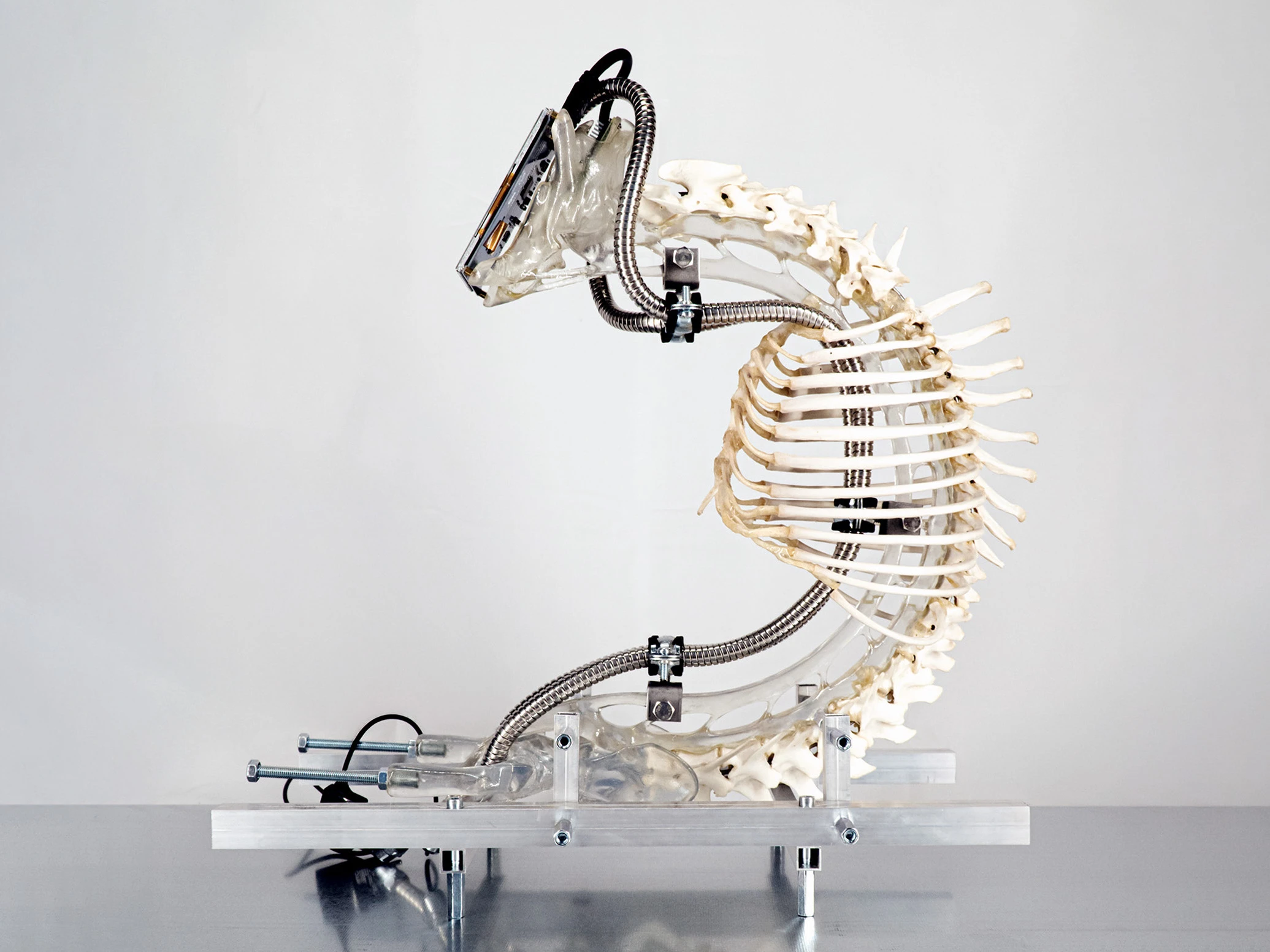 Article - Le bestiaire cyborg de Scherabon