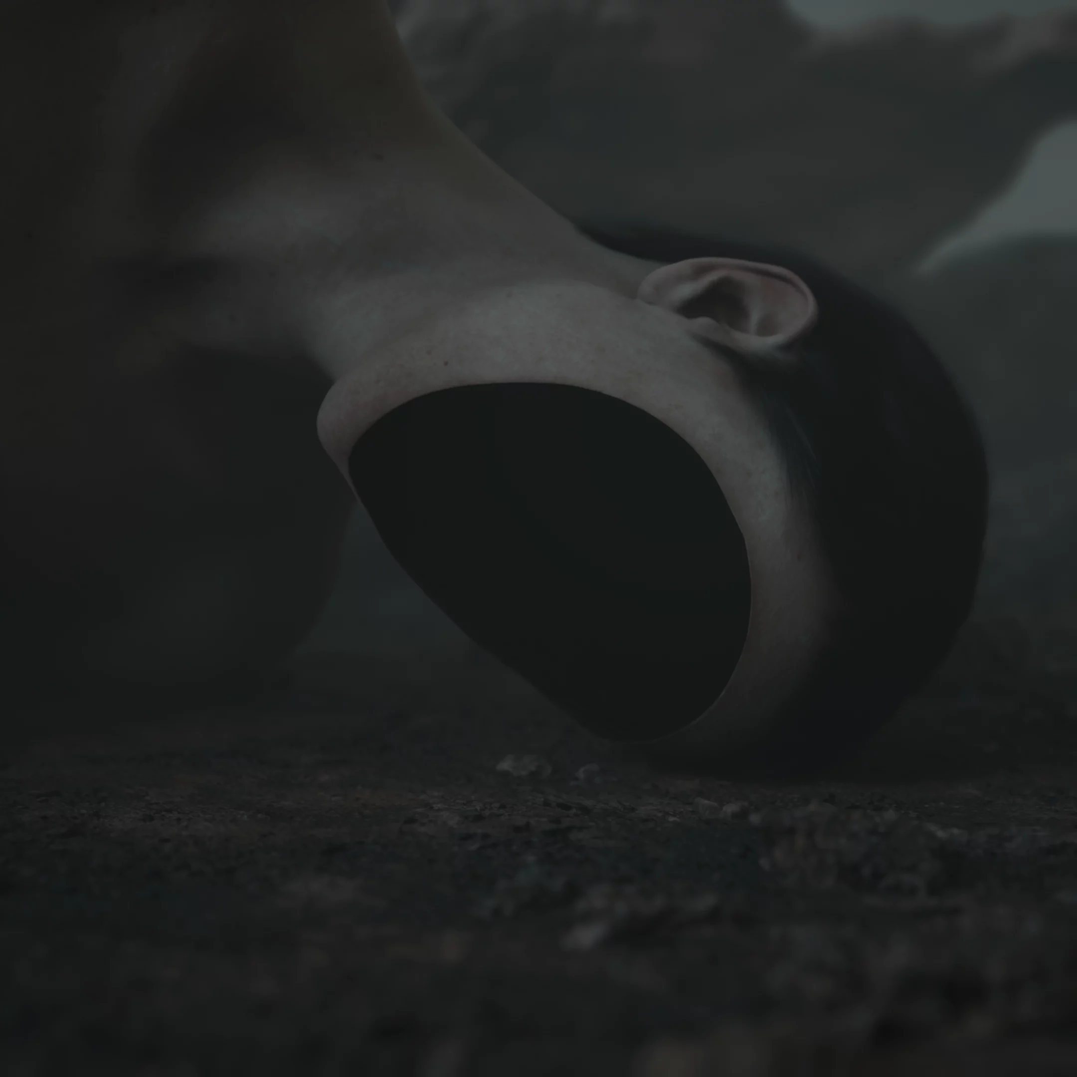 Article - Pierre Huyghe fait rugir le monde quantique