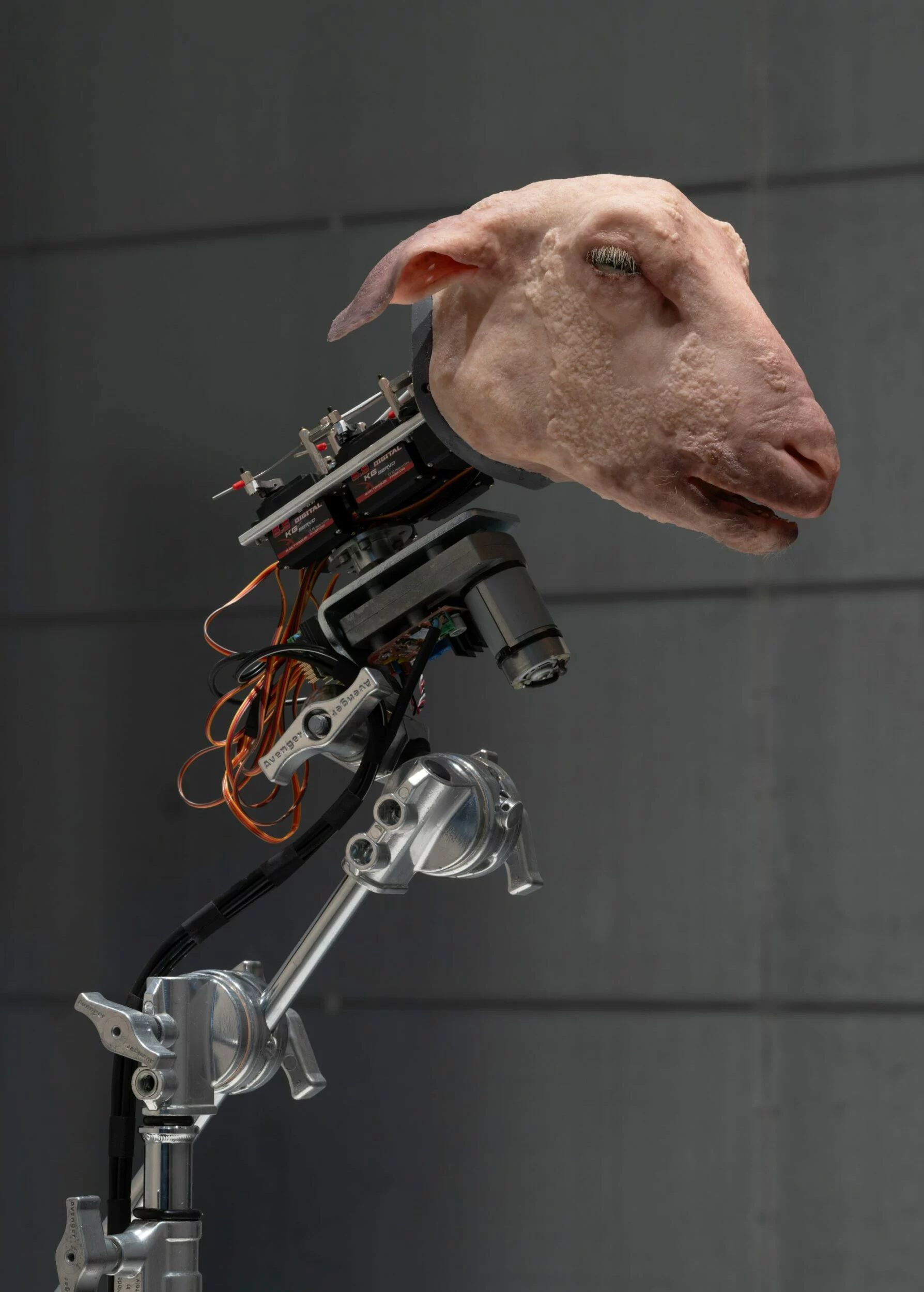 Article - Le mouton électrique de Sørensen