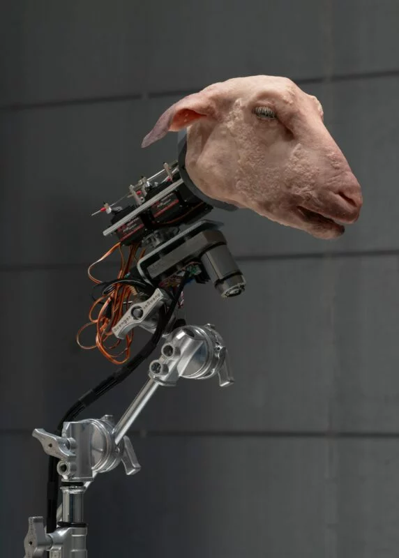 Prémices - Le mouton électrique de Sørensen